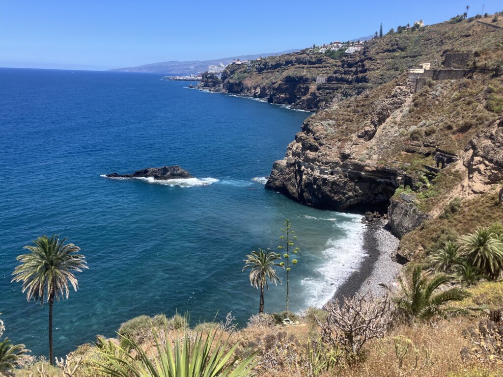 Playa de Castro beach. Rocky, black sand beach surrounded by cliffs and palm trees.