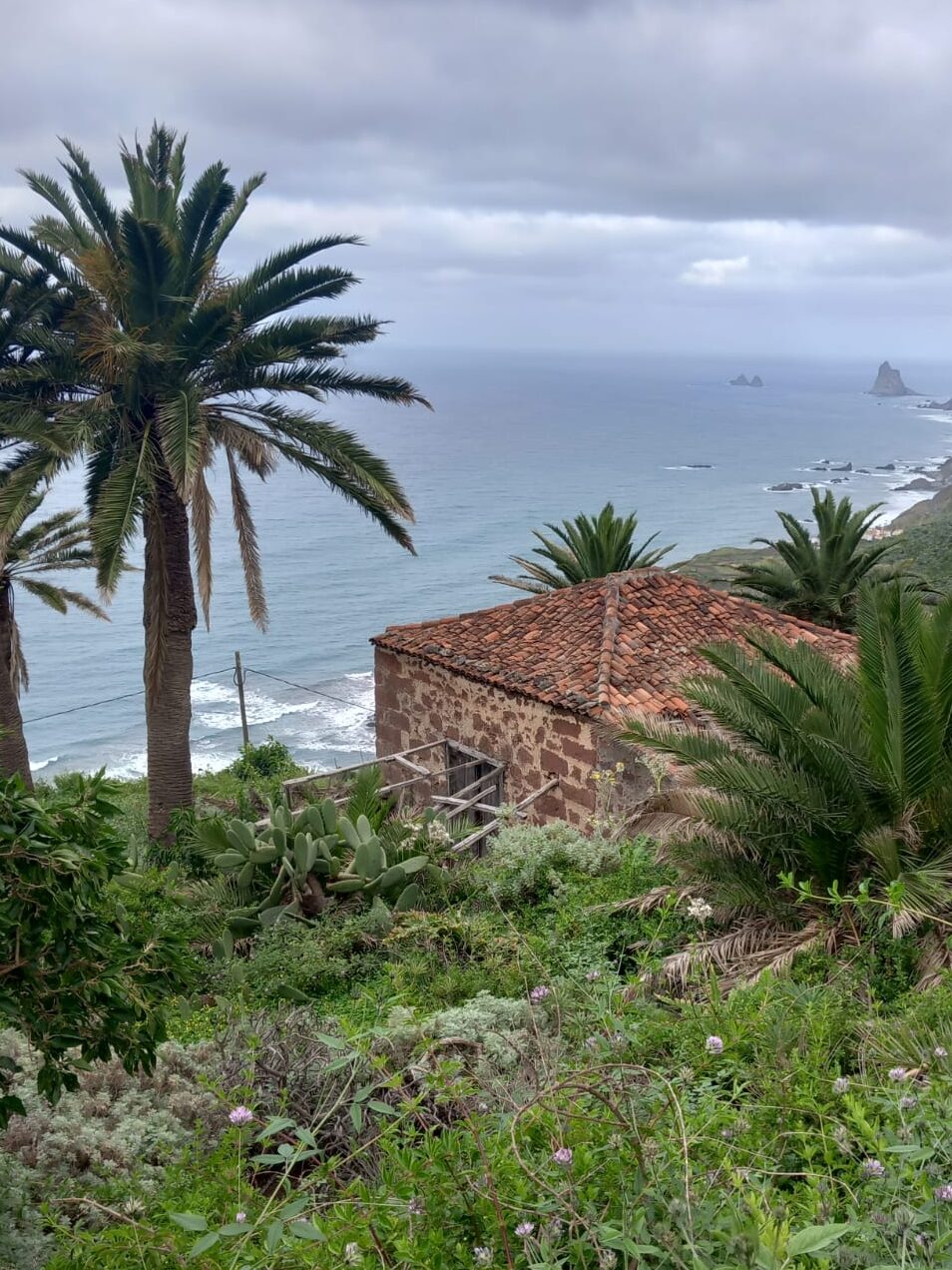Stone house nestled in between green palm trees overlooking the ocean