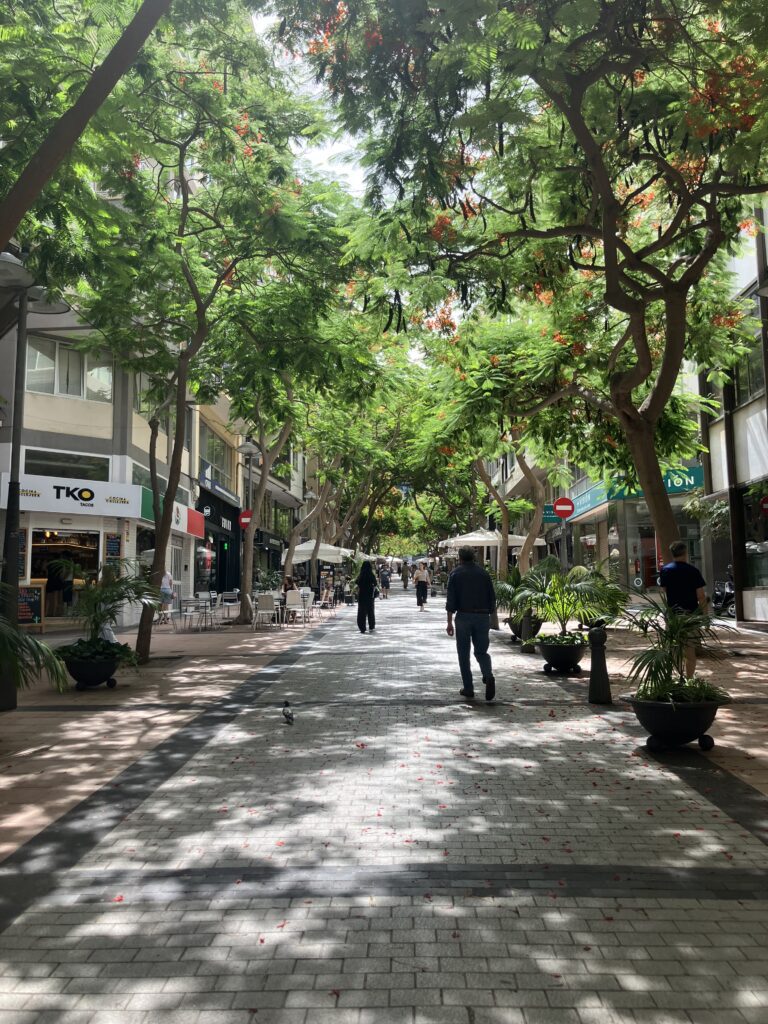 The Best Budget Hotels in Santa Cruz de Tenerife: Where to Stay Without Overspending 