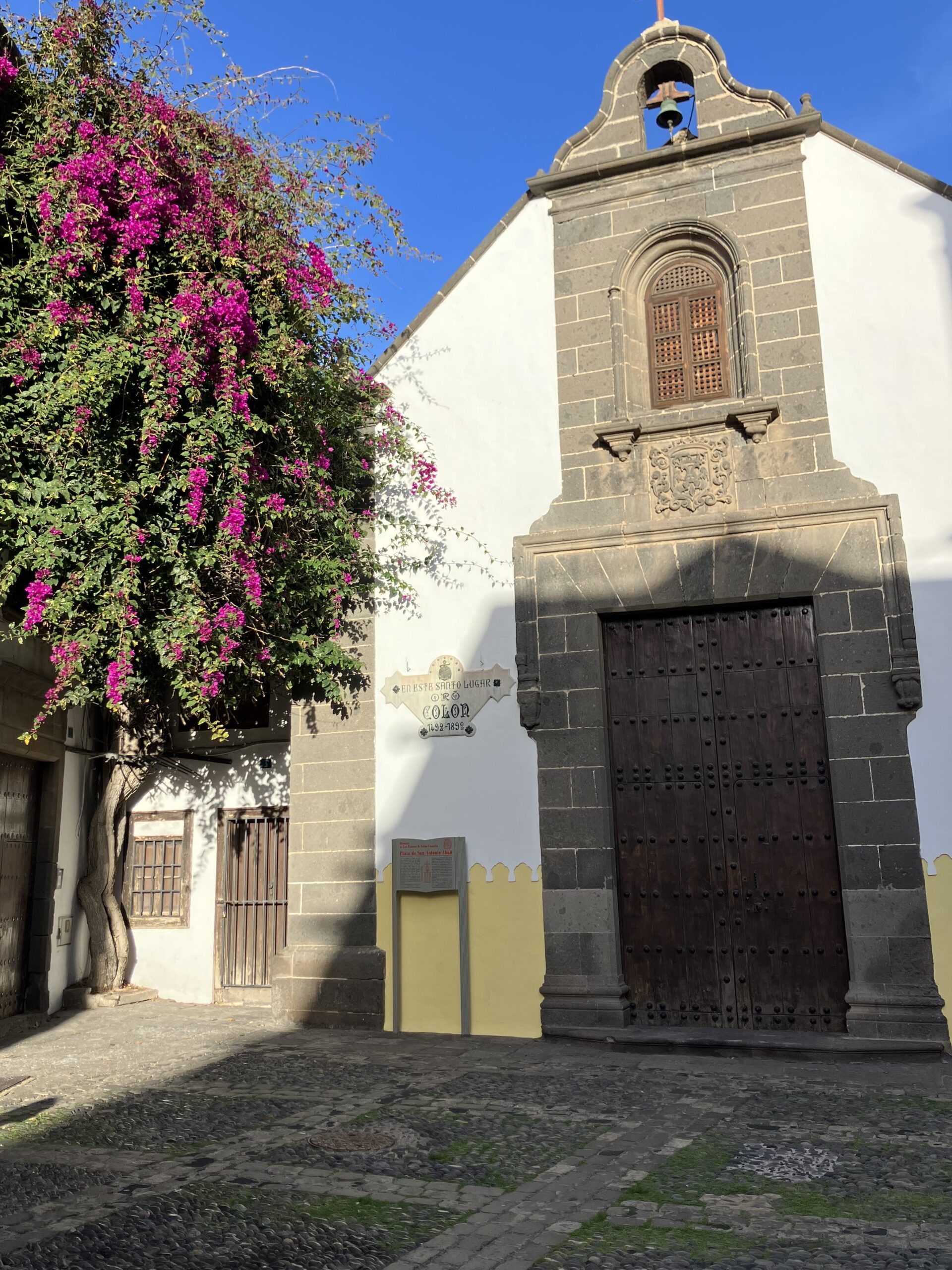Large flowering bougainvillea bush next to a traditional Canary stone church.
