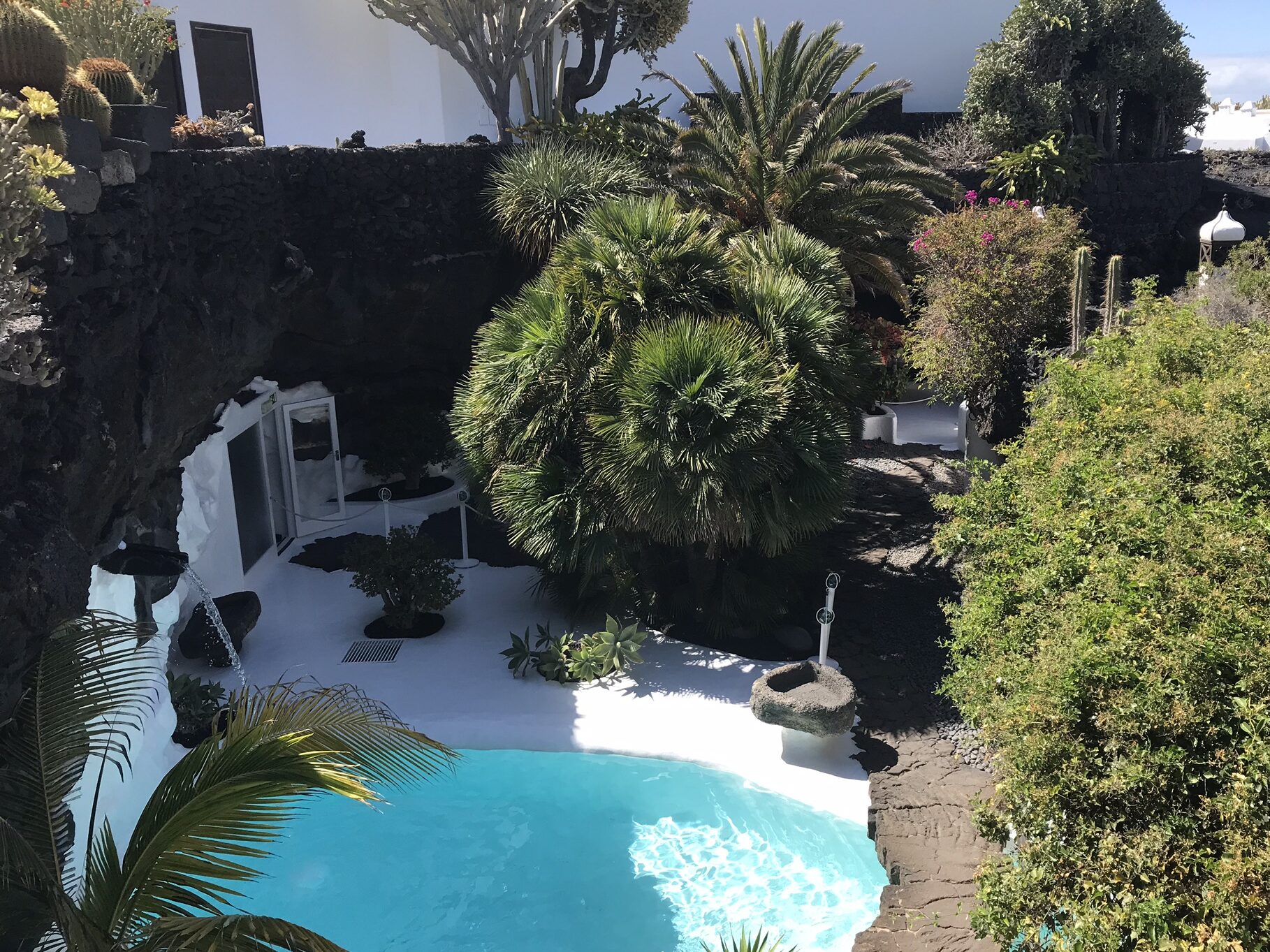Blue pool surrounded by green plants at the Fundación César Manrique in Lanzarote. Recommended in the beginner's guide to Lanzarote
