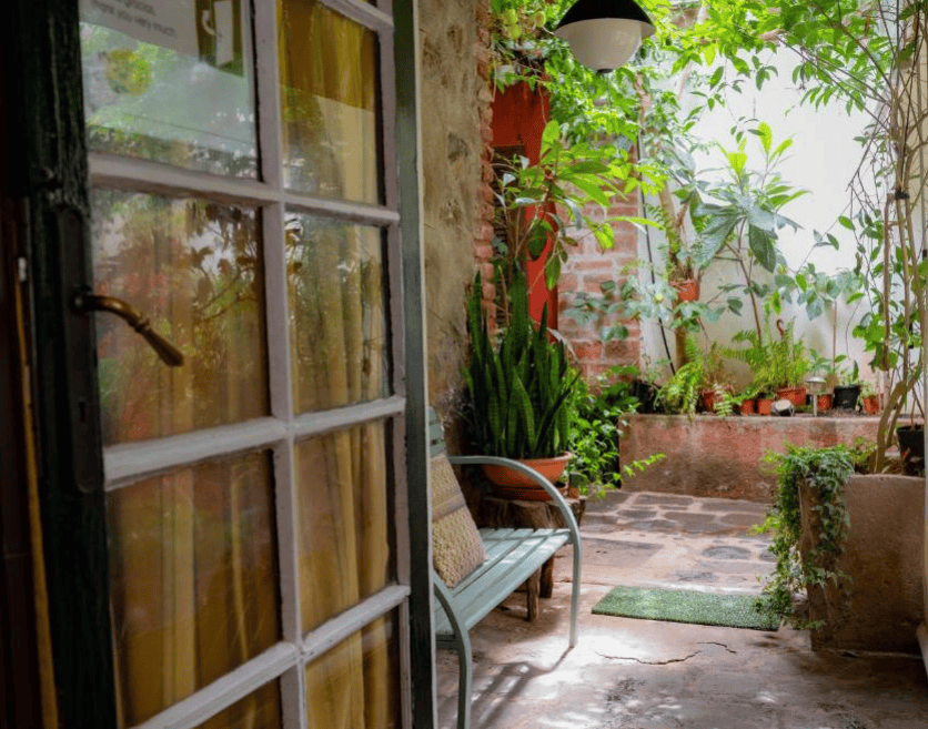 Door opening to garden patio at Casa Rural La Asomada del Gato. Part of the best budget hotels in La Laguna, Tenerife guide
