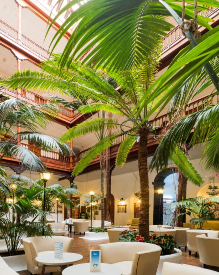 Hotel Monopol. Interior courtyard with leafy green palm trees. Best historic hotel in Puerto de la Cruz