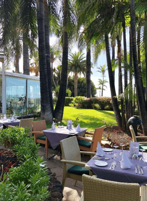 Restaurant table set up outside under tall palm trees at Hotel Tigaiga