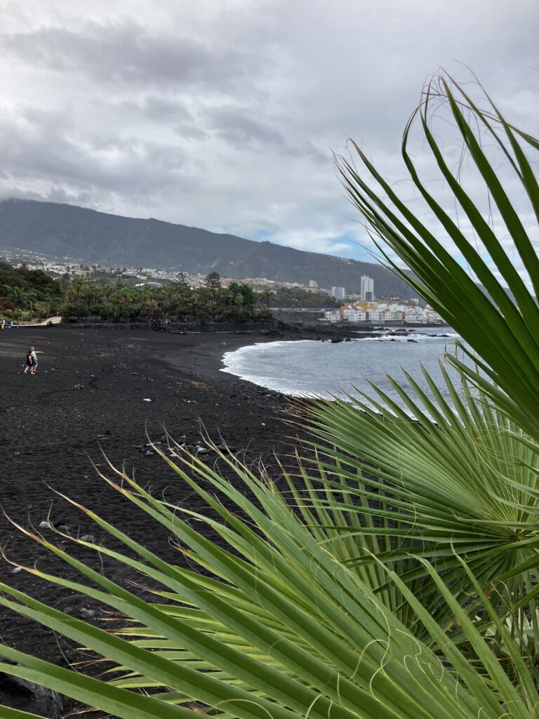 Winter season as described in Puerto de la Cruz guide - cloudy skies, black sand beach and ocean. Overcast.