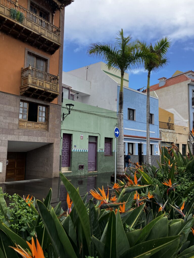 Puerto de la Cruz Travel Guide: Everything You Need to Know as a First-Timer