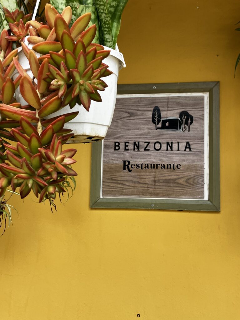 Benzonia restaurant review, Tegueste, Tenerife. Restaurant name on yellow backdrop with succulent plant in front.